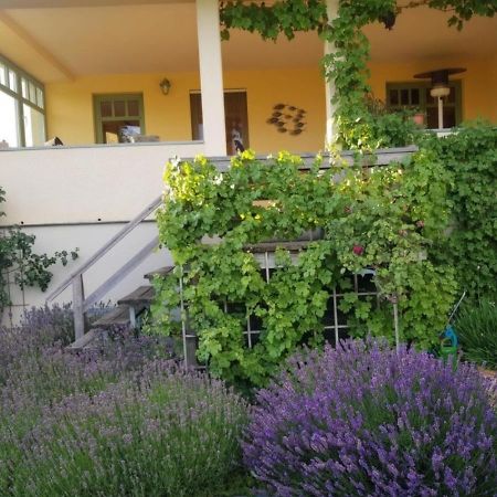 Ferienhaus Schiller Waren  Zewnętrze zdjęcie
