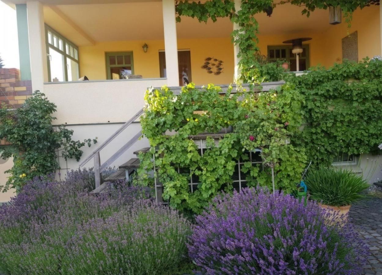 Ferienhaus Schiller Waren  Zewnętrze zdjęcie